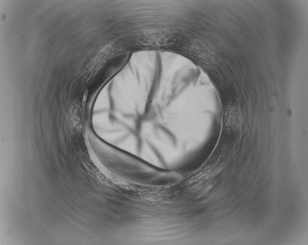 X0000062871202200602031708