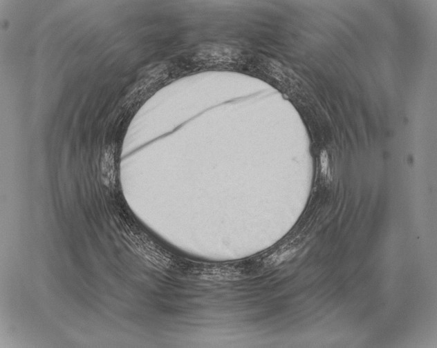 X0000062871203200602031708