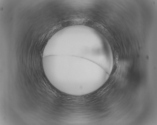 X0000062871204200602031708