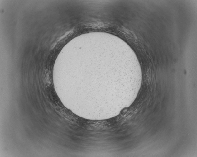 X0000062871205200602031708