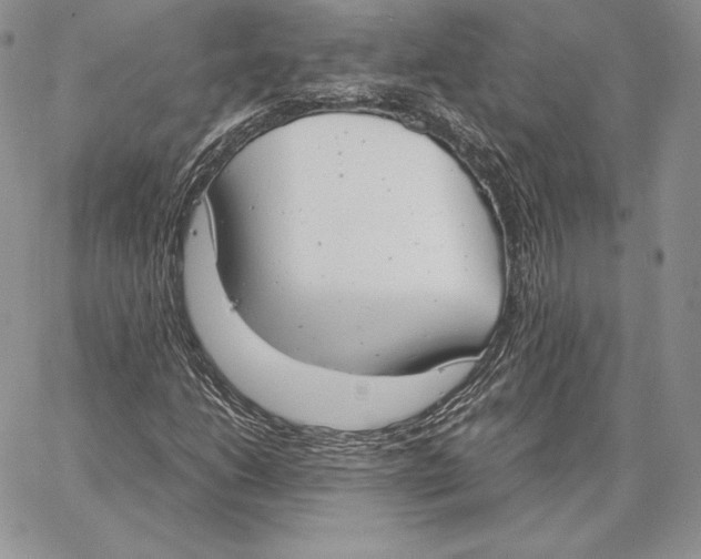 X0000062871206200602031708