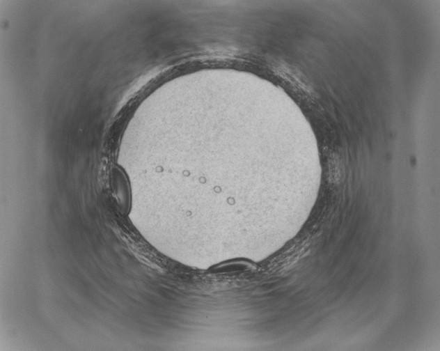 X0000062871208200602031708