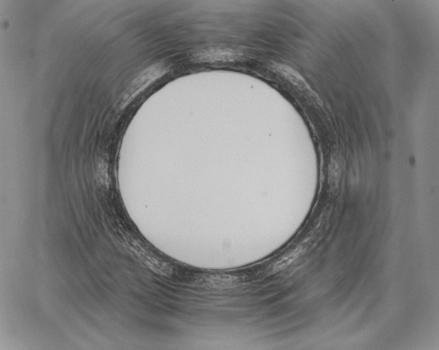 X0000062871209200602031708