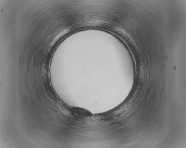 X0000062871210200602031708