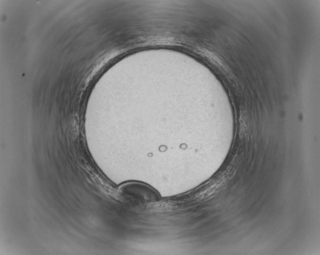 X0000062871212200602031708