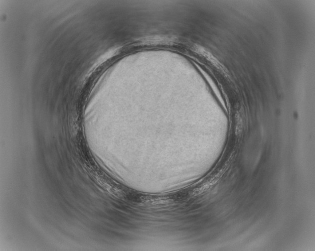 X0000062871213200602031708