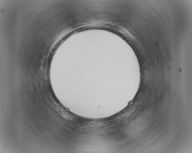 X0000062871216200602031708