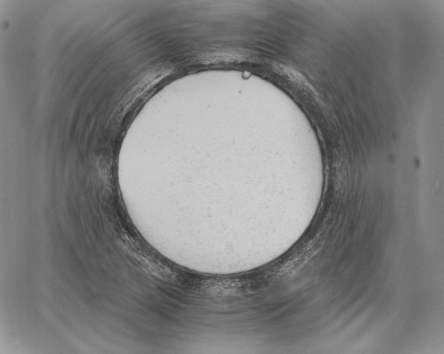 X0000062871217200602031708