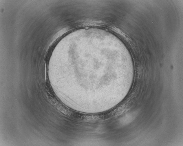 X0000062871219200602031708