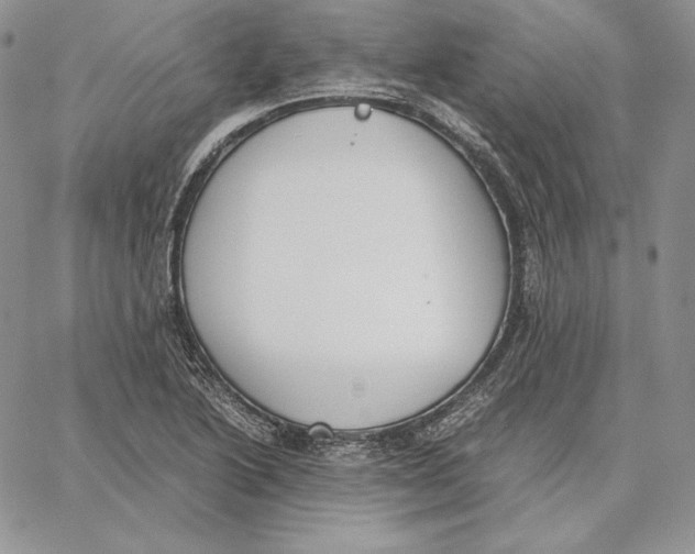 X0000062871222200602031708