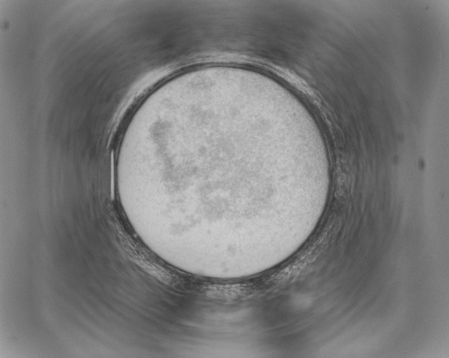 X0000062871223200602031708