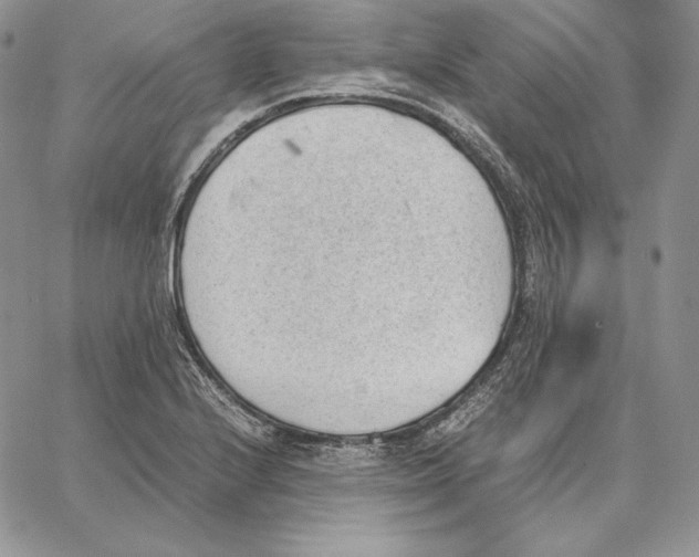 X0000062871224200602031708