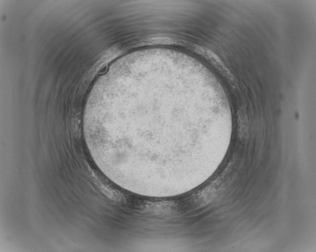 X0000062871225200602031708