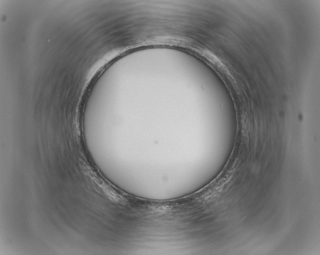 X0000062871230200602031708