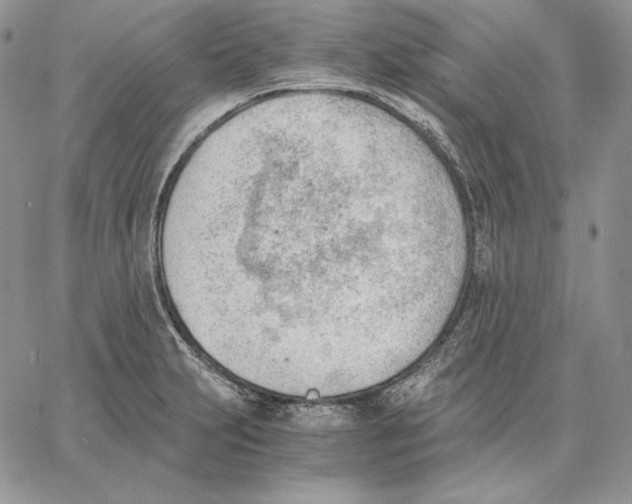 X0000062871231200602031708