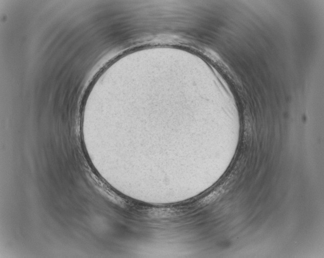 X0000062871232200602031708