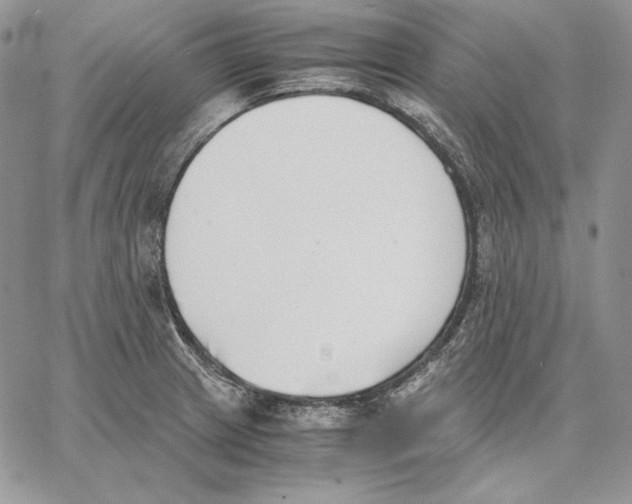 X0000062871233200602031708