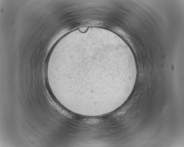 X0000062871235200602031708