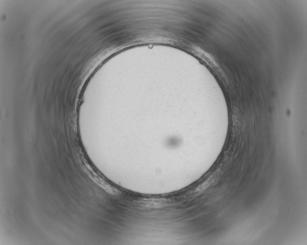 X0000062871236200602031708