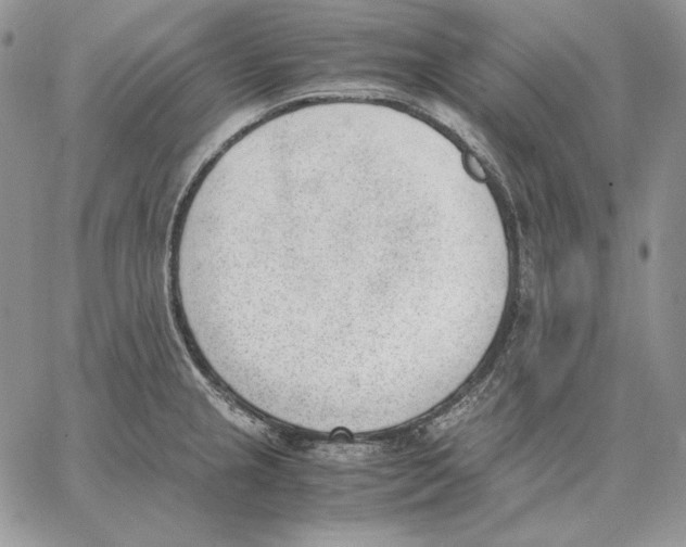 X0000062871237200602031708