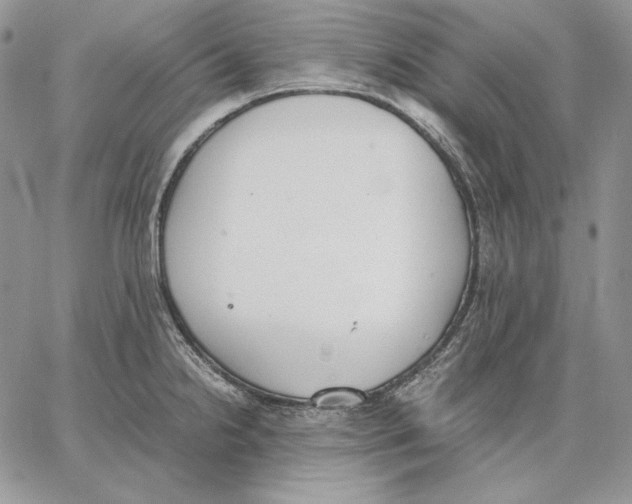 X0000062871238200602031708