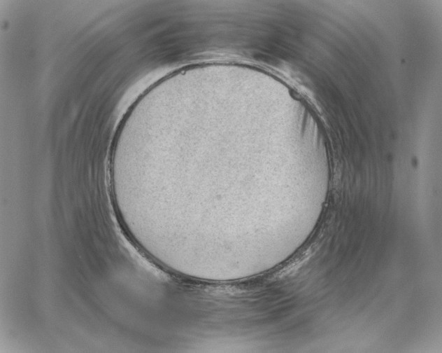 X0000062871239200602031709