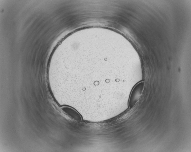 X0000062871240200602031709