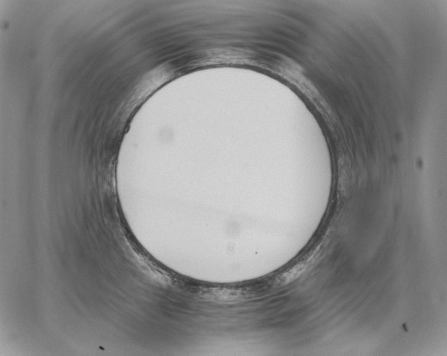 X0000062871241200602031709