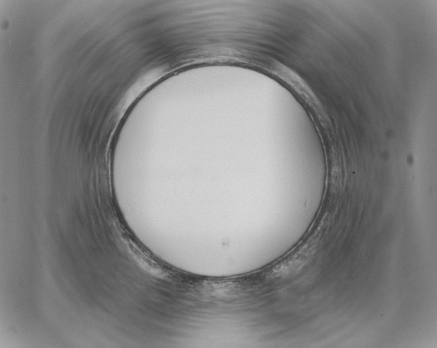 X0000062871242200602031709