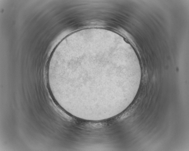 X0000062871243200602031709