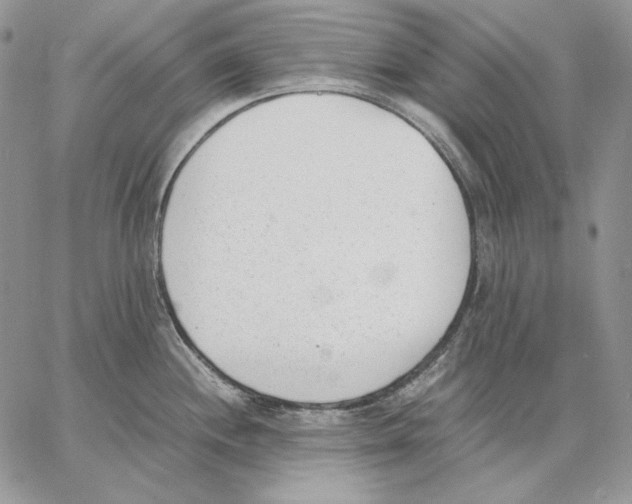 X0000062871244200602031709