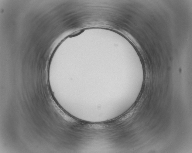 X0000062871246200602031709