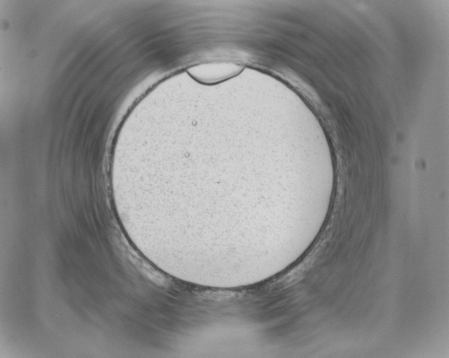 X0000062871248200602031709