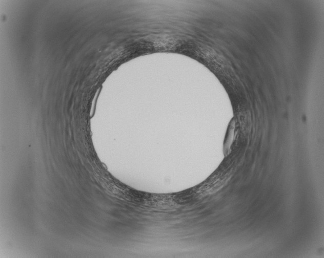 X0000062871249200602031708