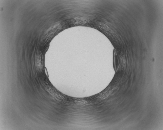 X0000062871250200602031708