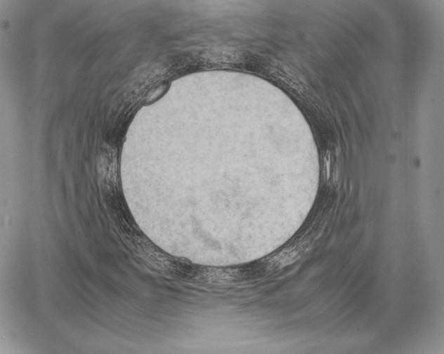 X0000062871251200602031708