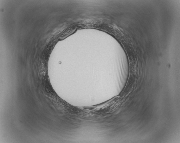 X0000062871253200602031708