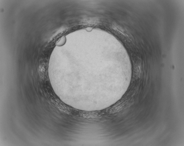 X0000062871254200602031708