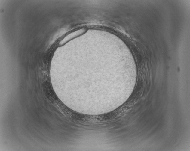 X0000062871255200602031708