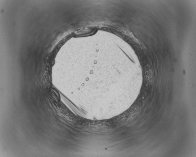 X0000062871256200602031708