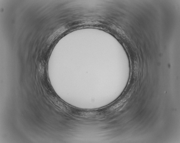 X0000062871257200602031708