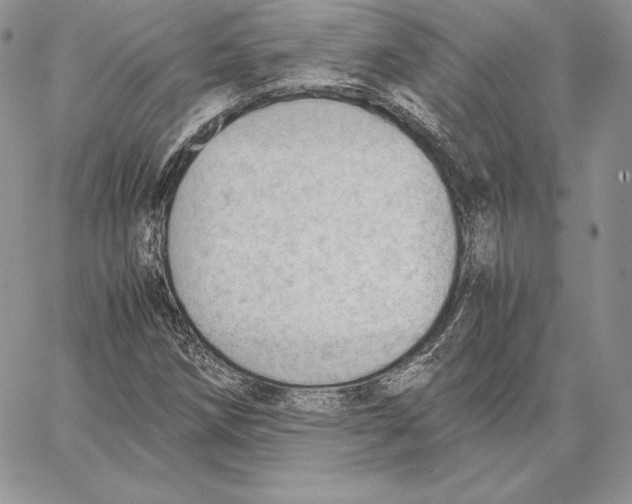 X0000062871258200602031708