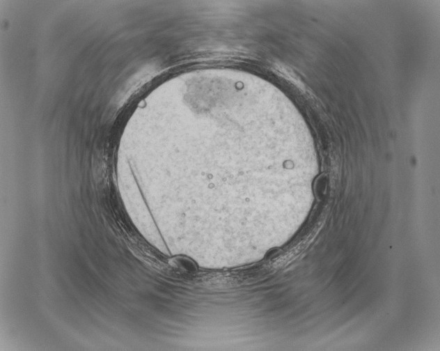 X0000062871259200602031708