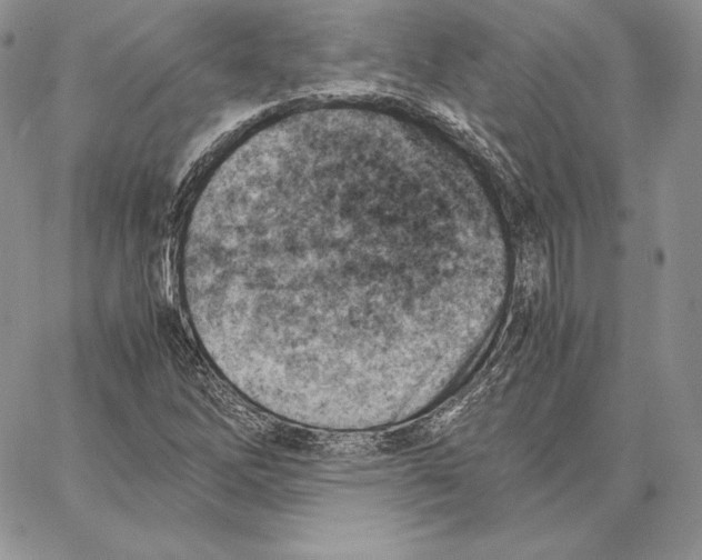 X0000062871262200602031708