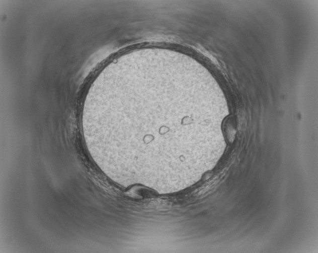 X0000062871263200602031708