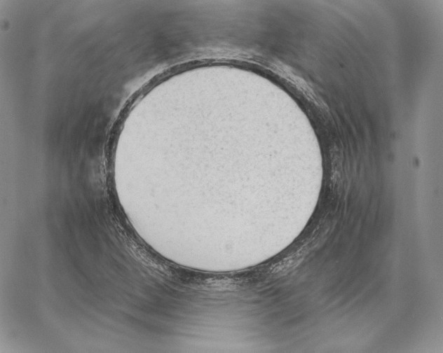 X0000062871264200602031708