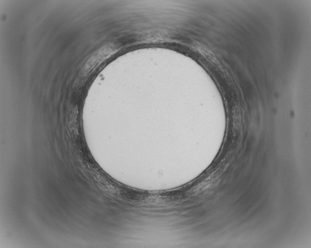 X0000062871265200602031708