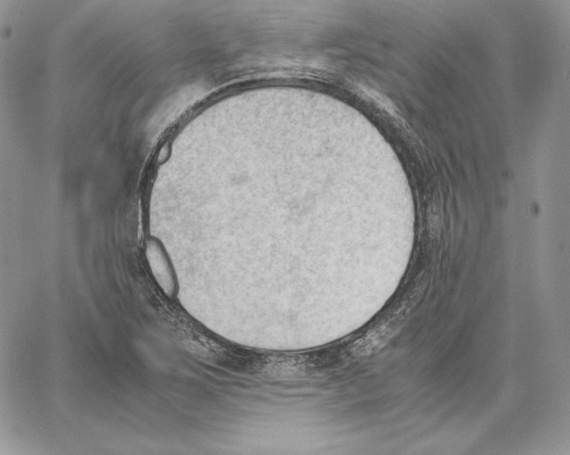 X0000062871267200602031708