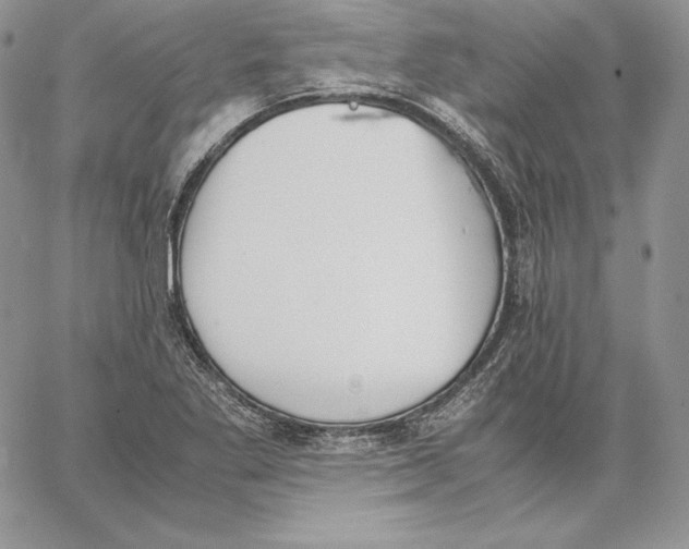 X0000062871269200602031708