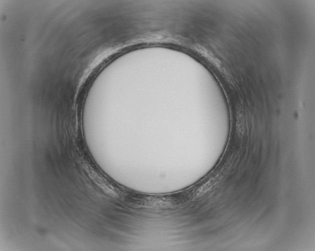 X0000062871270200602031708